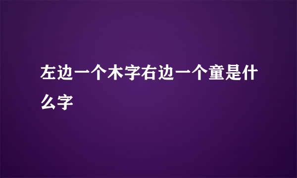 左边一个木字右边一个童是什么字